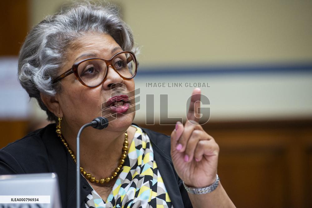 Oversight and Reform hearing on Democracy in Danger - Washington