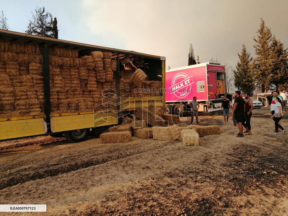 Aid for the villagers Aftermath Fire in Antalya