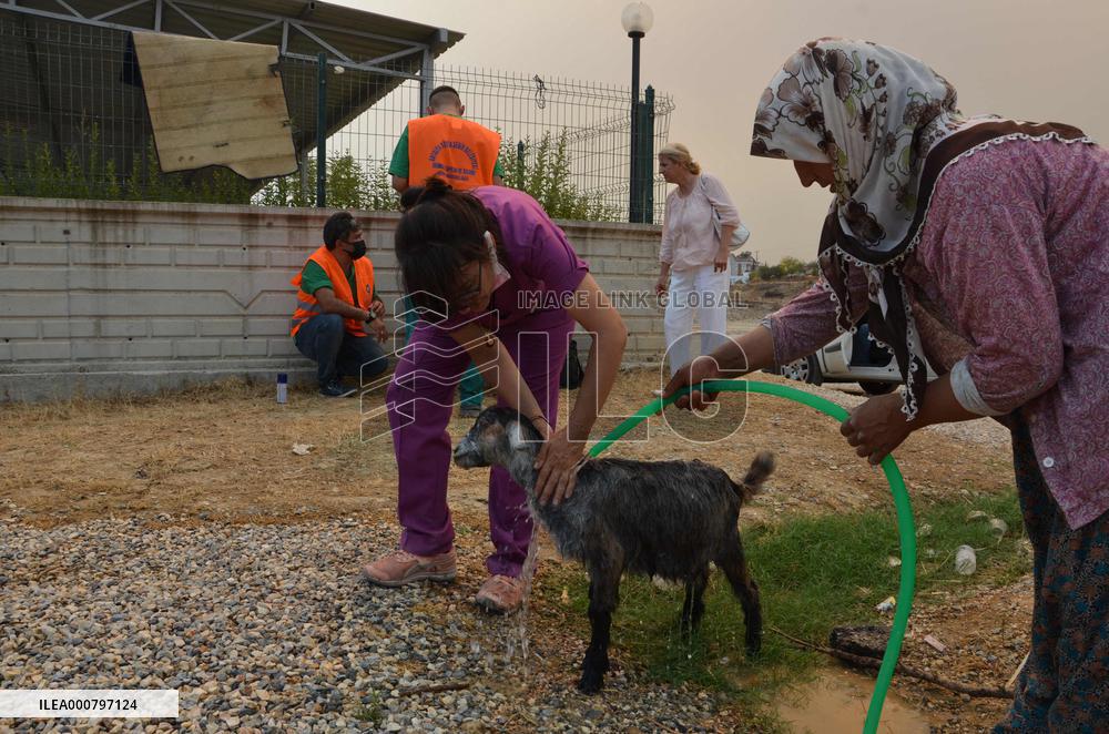 Aid for the villagers Aftermath Fire in Antalya