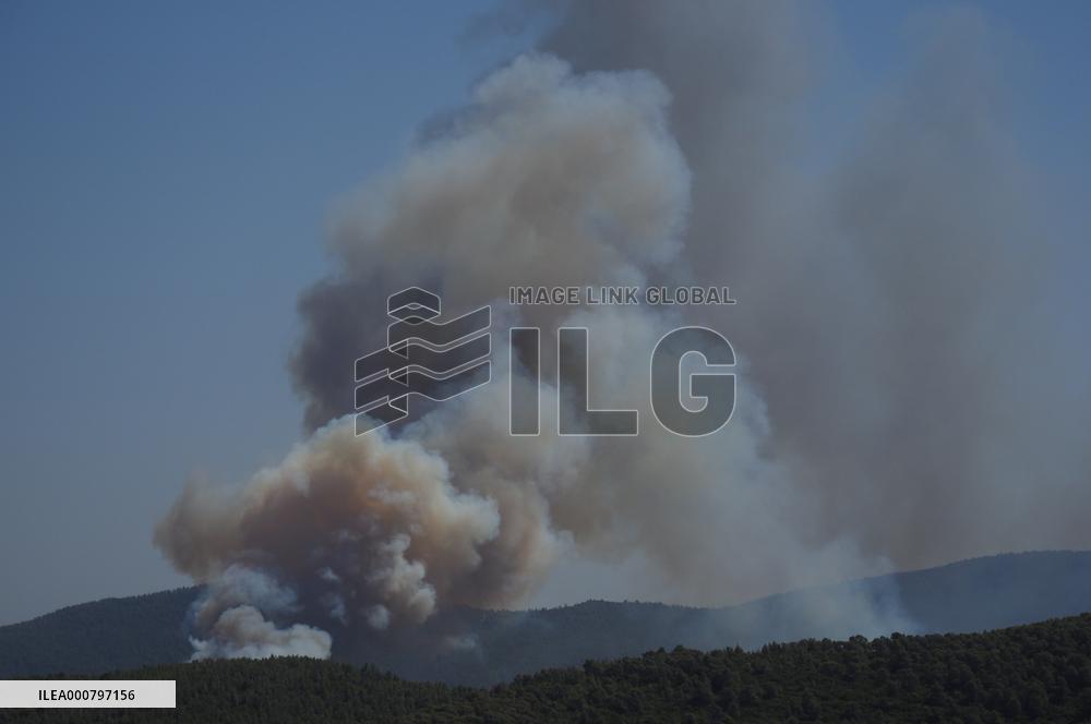 Wildfires continues at Turkeys coastal regions - Bodrum