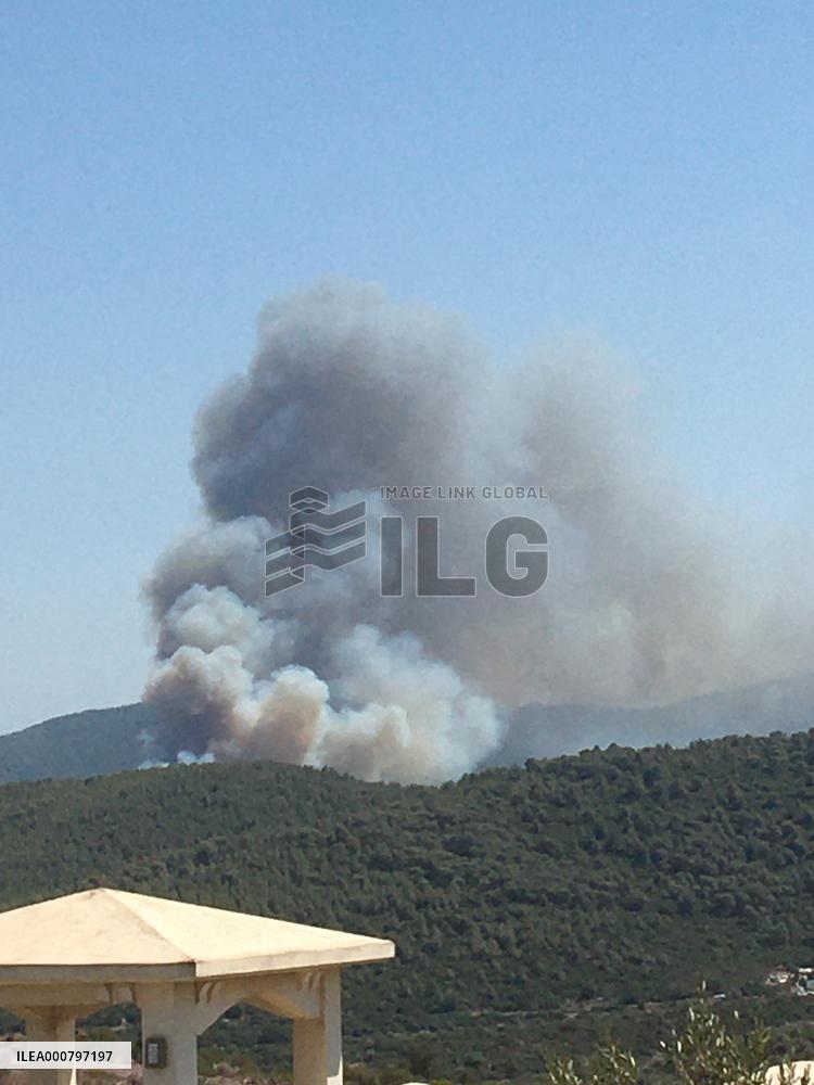 Wildfires continues at Turkeys coastal regions - Bodrum