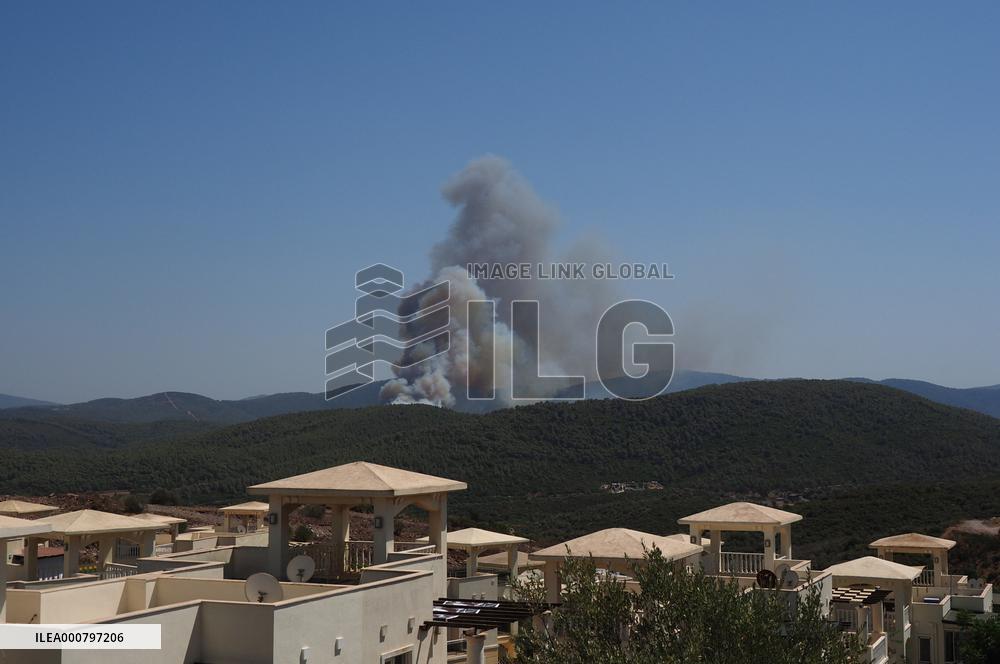 Wildfires continues at Turkeys coastal regions - Bodrum