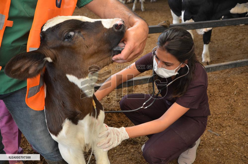 Aid for the villagers Aftermath Fire in Antalya