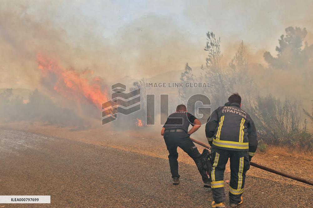 Wildfires in Turkey - Manavgat