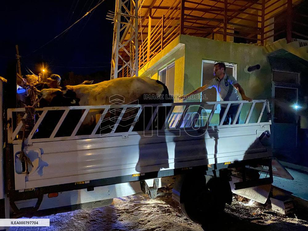 Wildfires in Turkey - Manavgat