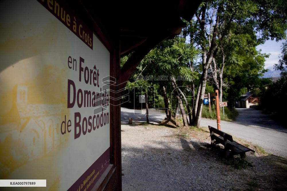 The Missing From Grand Morgon