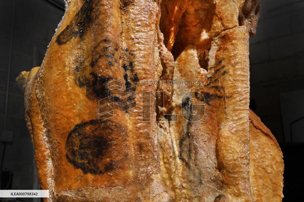 Construction Of Prehistoric Cosquer Cave 2 - Montignac