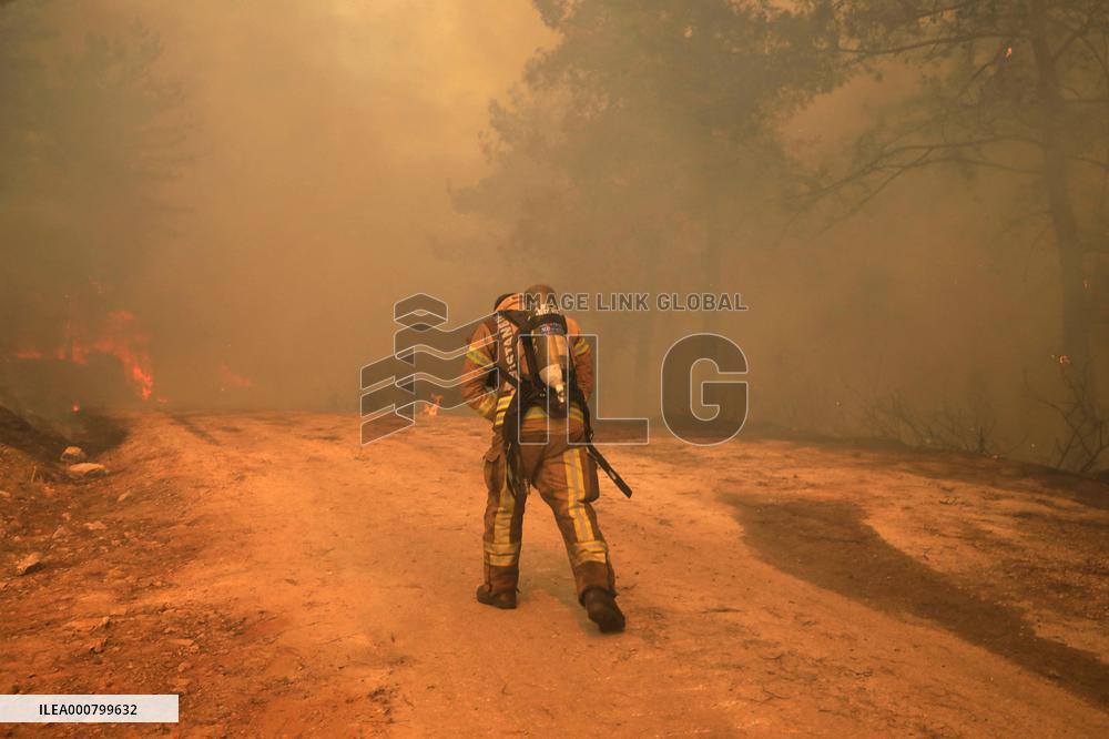 Wildfires around Turkish power plant - Milas