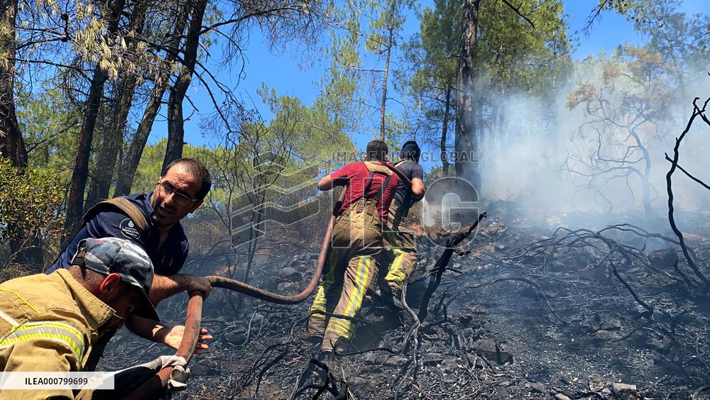 Wildfires around Turkish power plant - Milas