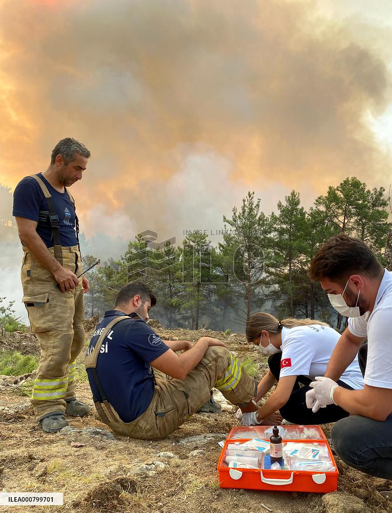 Wildfires around Turkish power plant - Milas