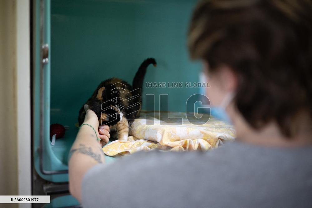 Abandoned Animals At The SPA - Vaux-le-Penil
