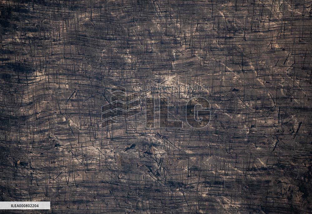 White Rock Lake Wildfire Expected To Grow - Canada