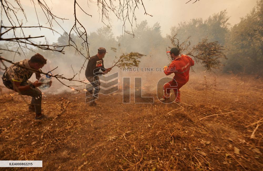 Wildfires Rage As Heatwave Hits North Africa - Algeria