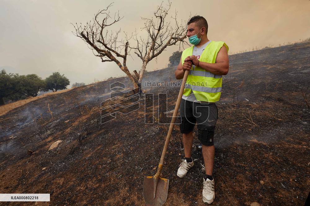 Wildfires Rage As Heatwave Hits North Africa - Algeria