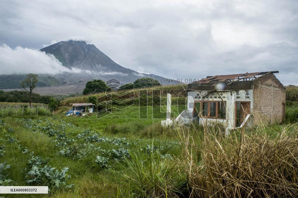 Daily Life of Sinabung Volcano Indigenous People - Indonesia