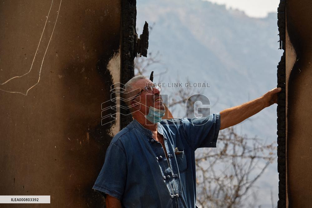 Wildfire Aftermath in Algeria
