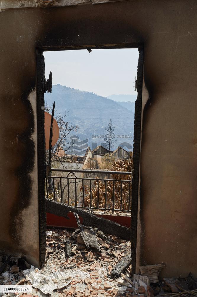 Wildfire Aftermath in Algeria