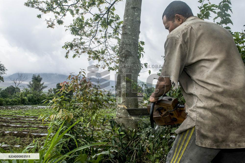 Daily Life of Sinabung Volcano Indigenous People - Indonesia