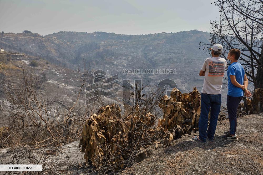 Wildfire Aftermath in Algeria