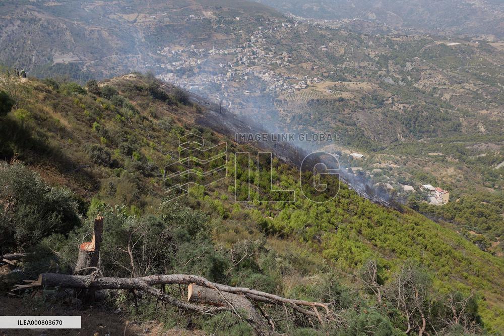 Wildfire in Algeria
