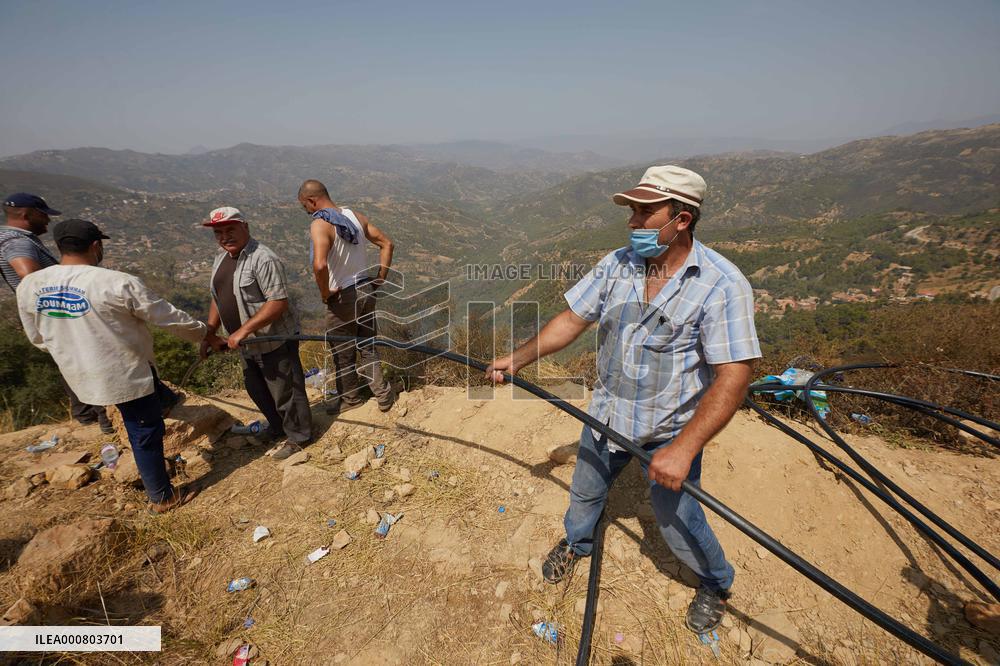 Wildfire in Algeria