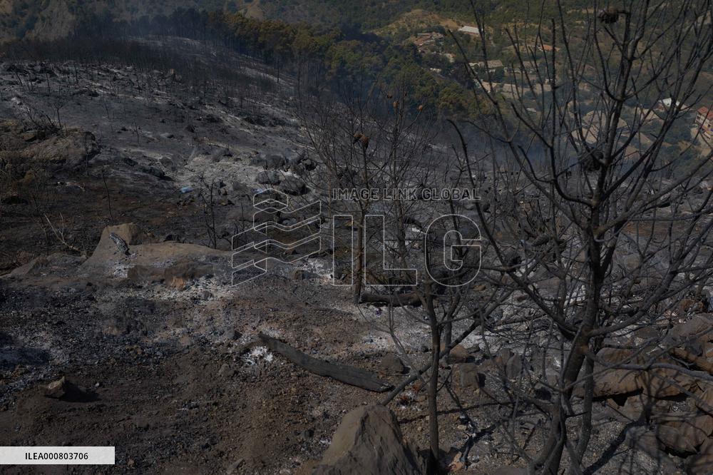 Wildfire in Algeria