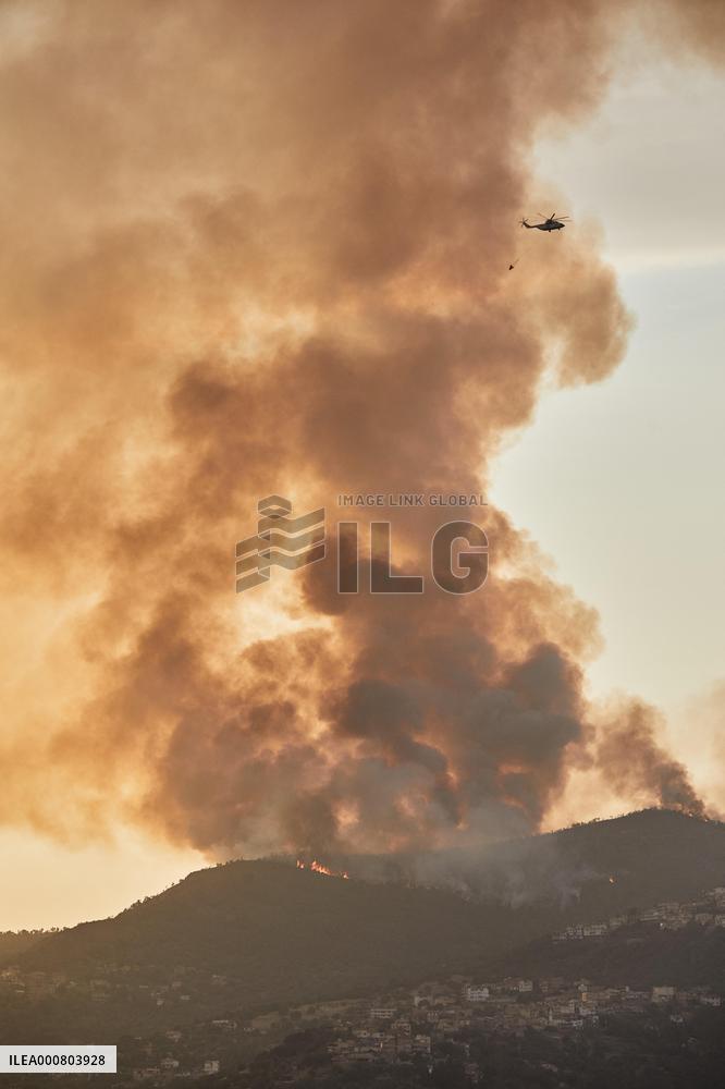 Kabylia forest fires - Algeria