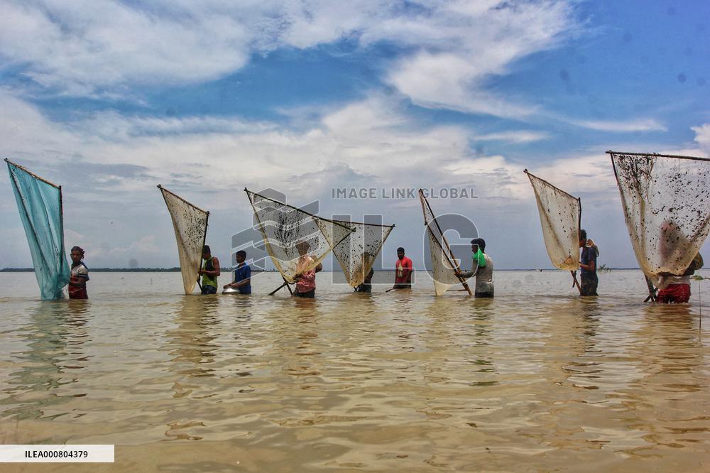 Inhabitants Of The Roumar Fish During High Tide - Bangladesh