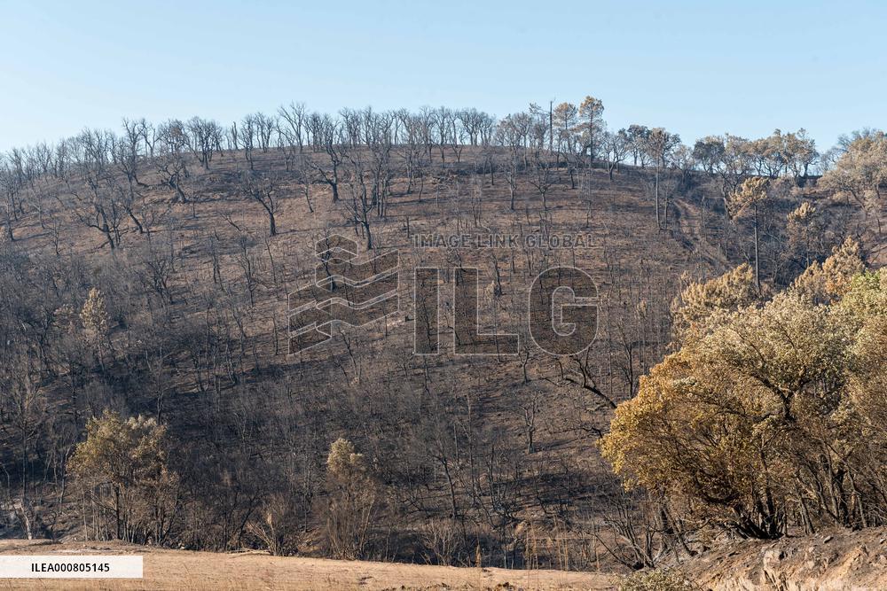 Southern France wildfire aftermath
