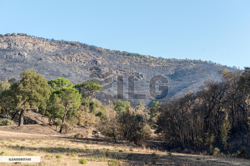 Southern France wildfire aftermath