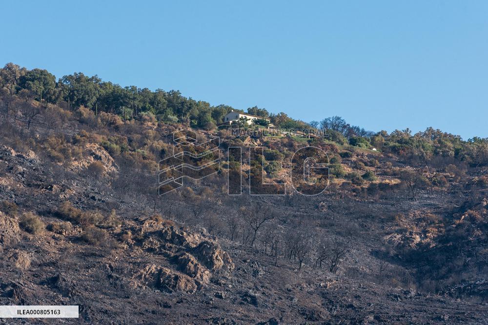 Southern France wildfire aftermath