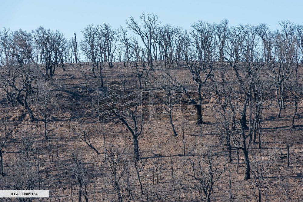 Southern France wildfire aftermath