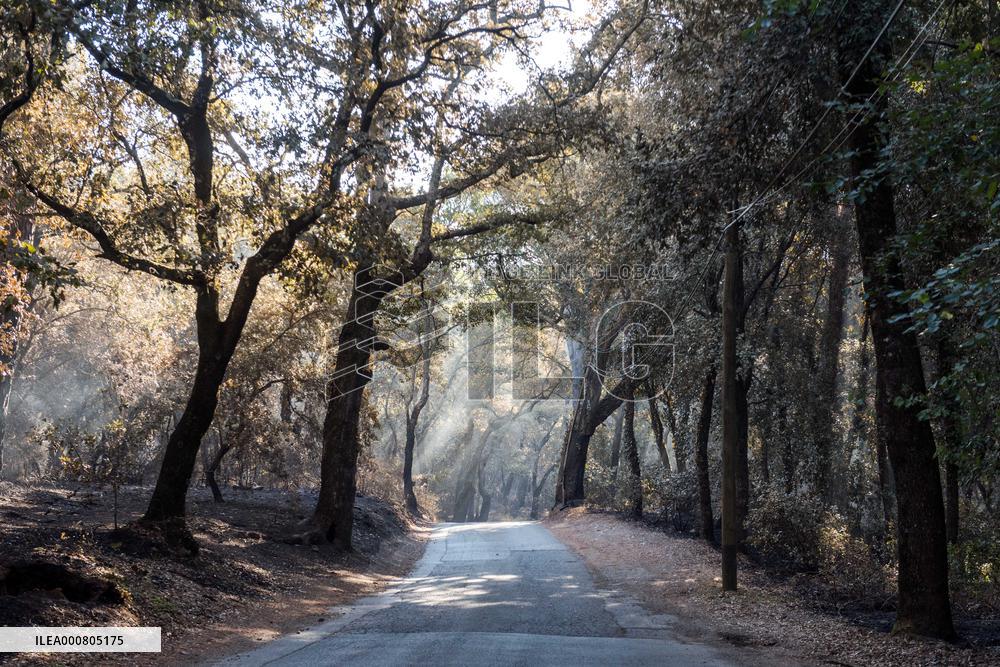 Southern France wildfire aftermath