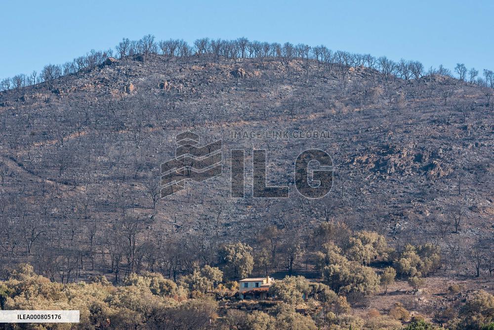 Southern France wildfire aftermath