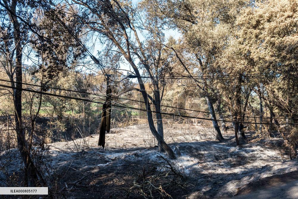 Southern France wildfire aftermath