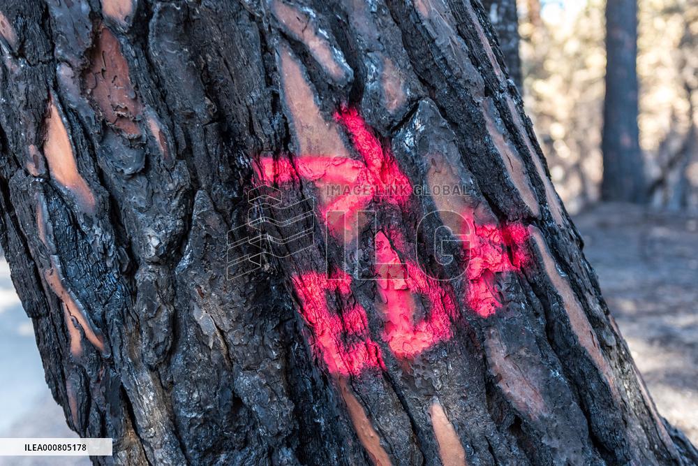 Southern France wildfire aftermath