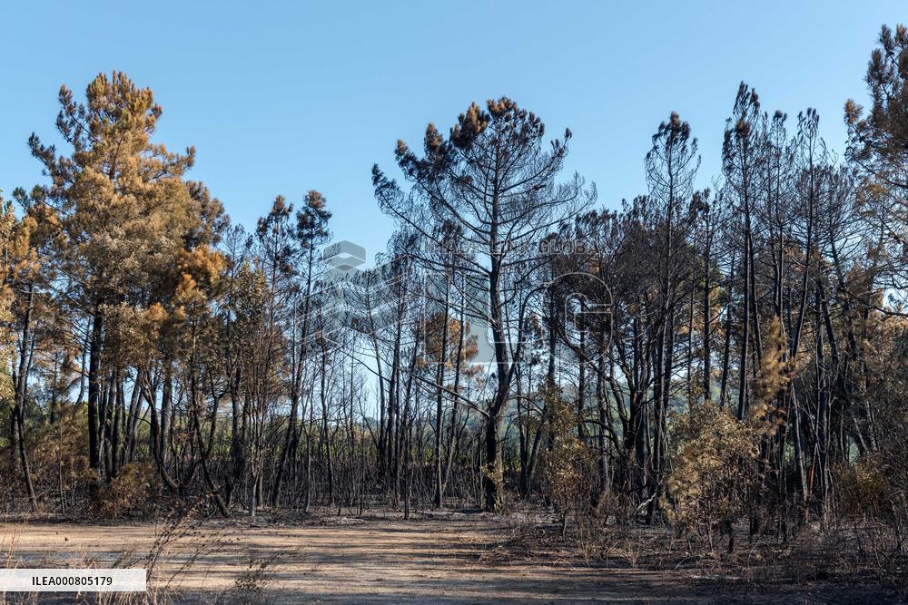 Southern France wildfire aftermath