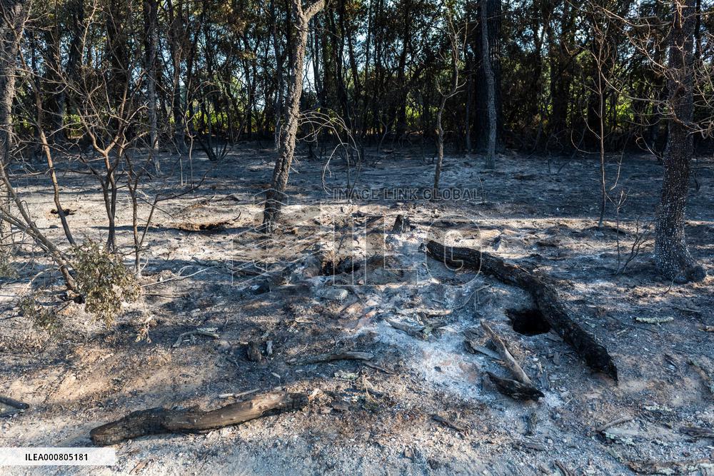 Southern France wildfire aftermath