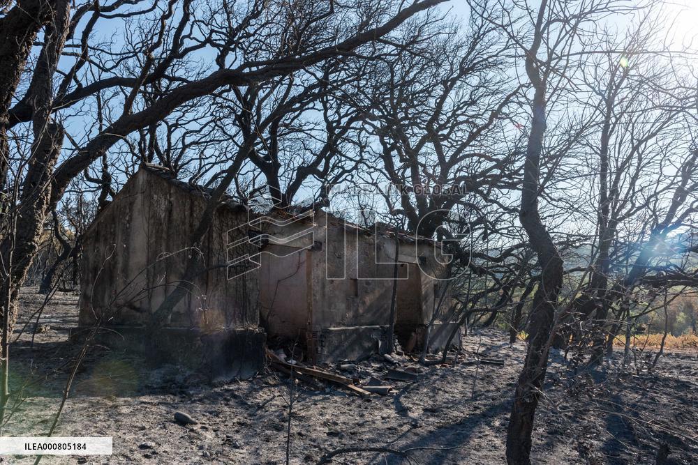 Southern France wildfire aftermath