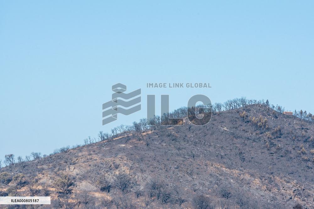 Southern France wildfire aftermath