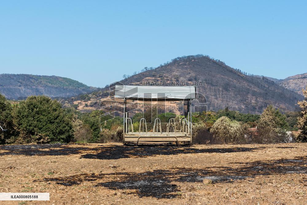 Southern France wildfire aftermath