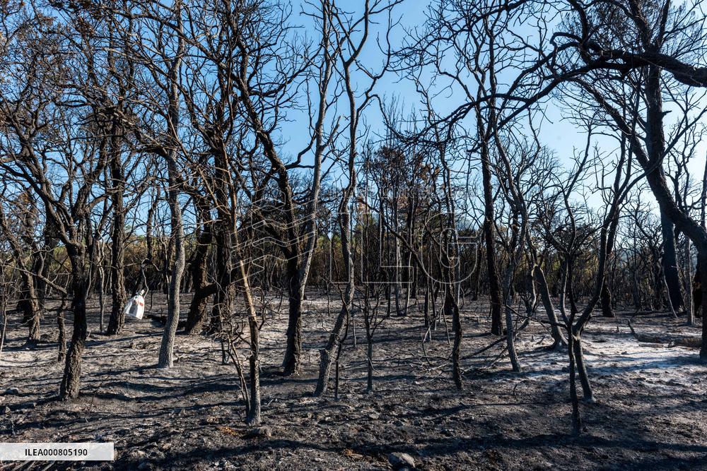 Southern France wildfire aftermath