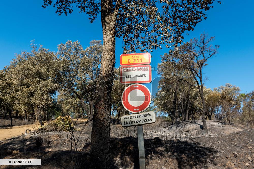 Southern France wildfire aftermath
