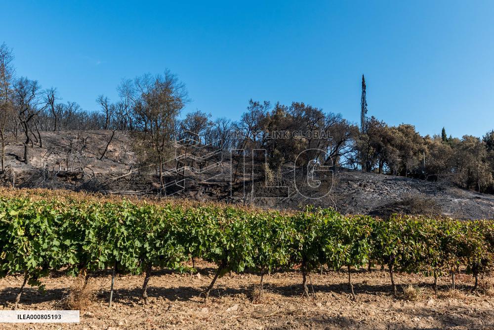 Southern France wildfire aftermath