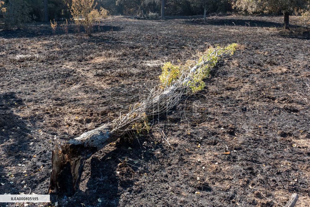 Southern France wildfire aftermath