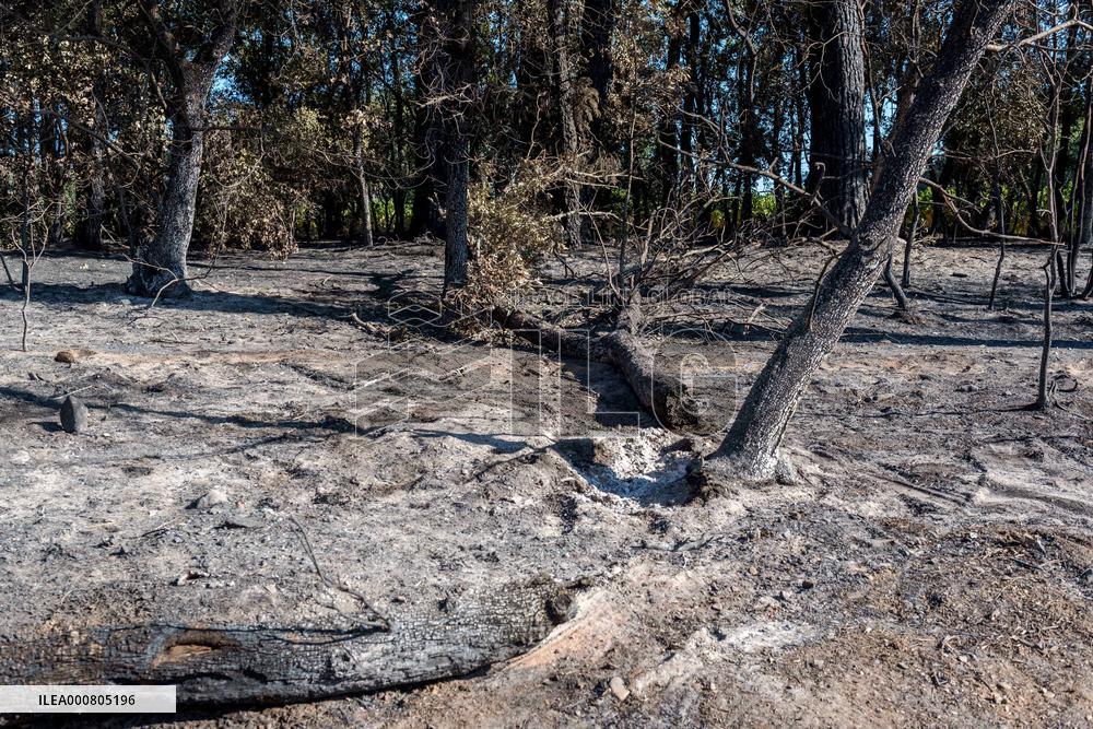 Southern France wildfire aftermath