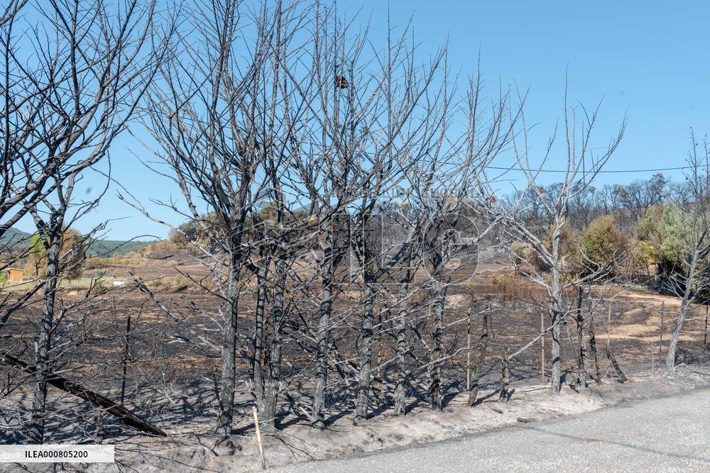 Southern France wildfire aftermath