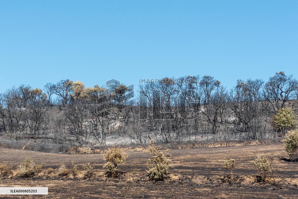 Southern France wildfire aftermath