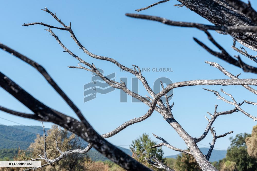 Southern France wildfire aftermath