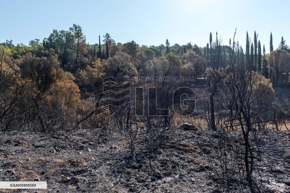 Southern France wildfire aftermath